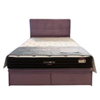 Restonic Spine Rest 10" Mattress With Bed Frame