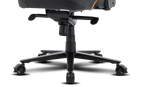 TTRacing Maxx Gaming Chair - Pain Edition