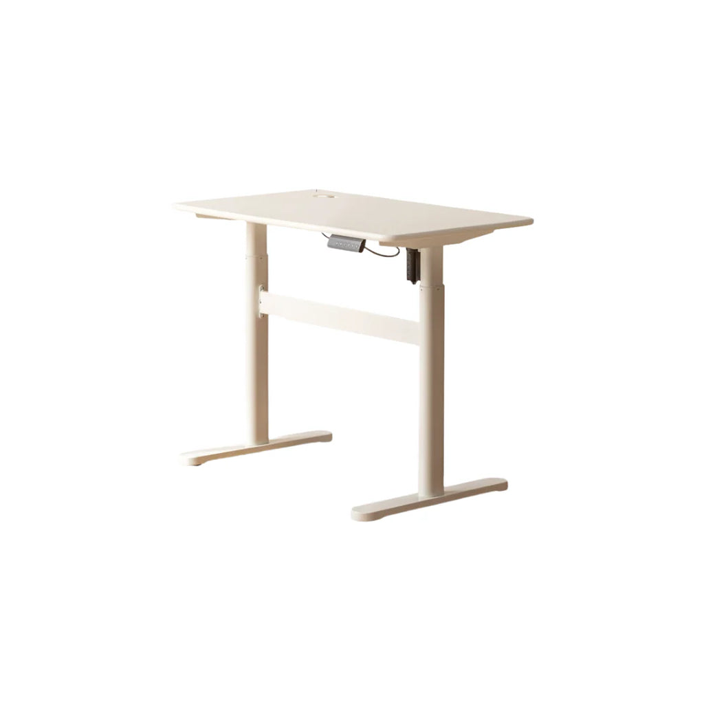Height Adjustable Standing Desk