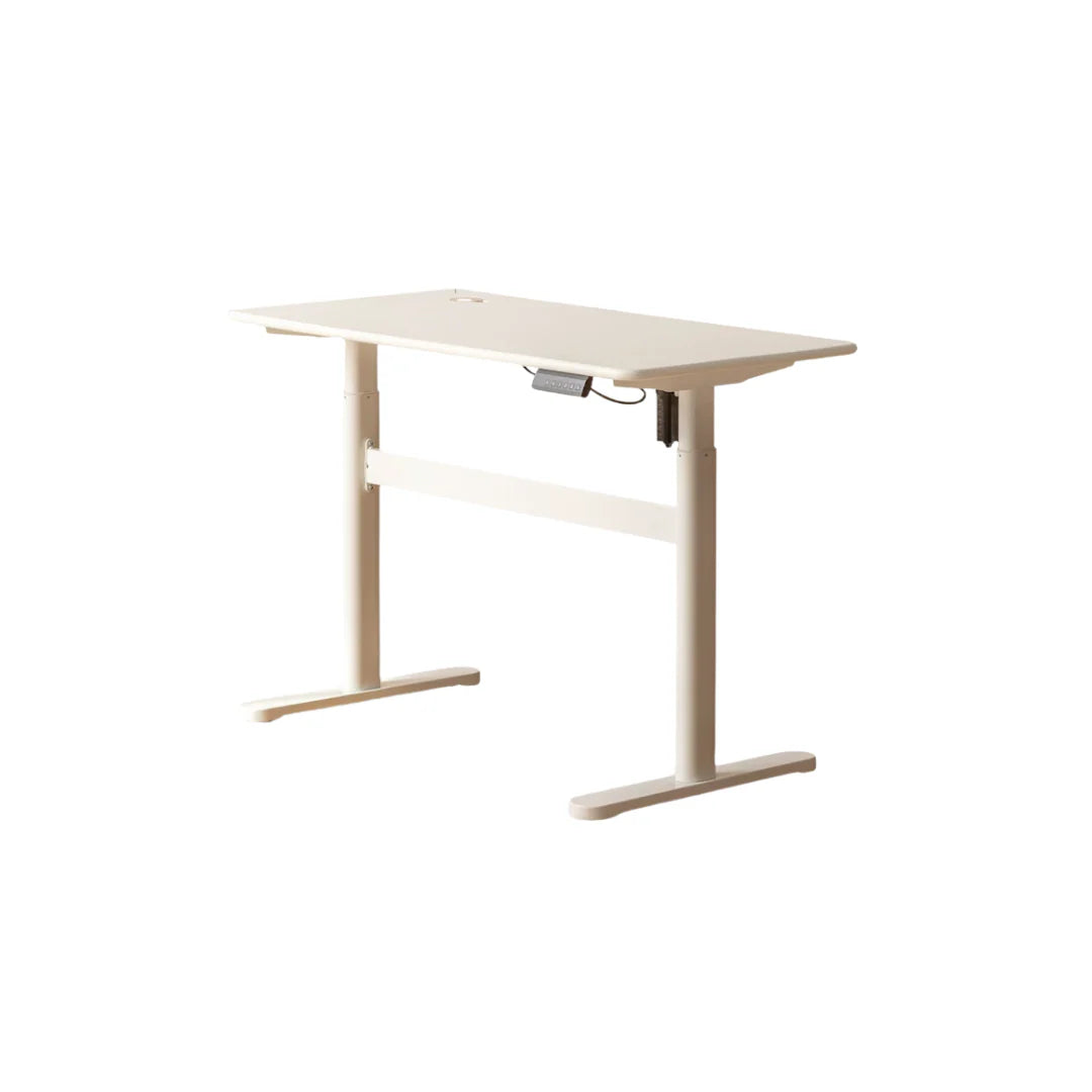 Height Adjustable Standing Desk