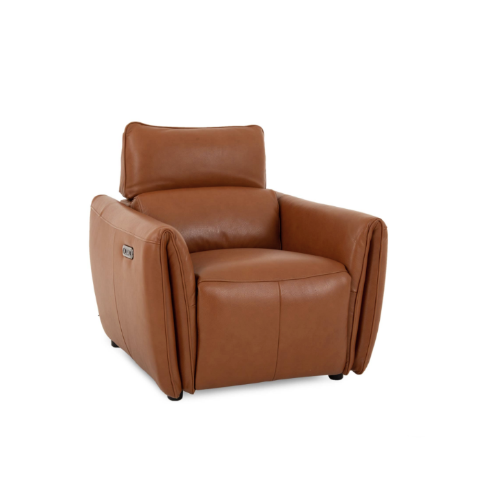 Fabric / Leather Power Recliner with Adjustable Headrest 4079