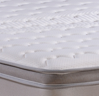 Vono SpinePro Active 10" Mattress Only