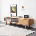 Nori TV Console With Sliding Door