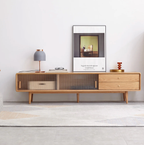Nori TV Console With Sliding Door