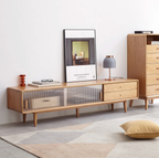 Nori TV Console With Sliding Door