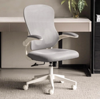 Astrea Ergonomic Office Chair