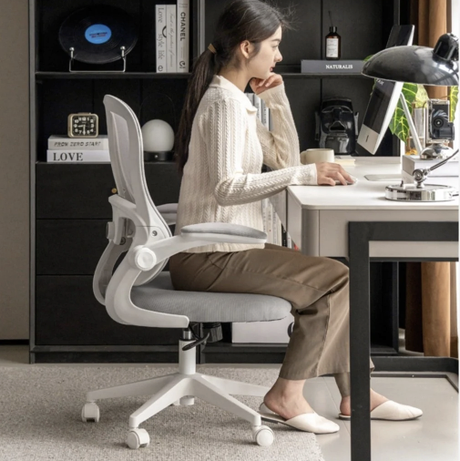 Astrea Ergonomic Office Chair
