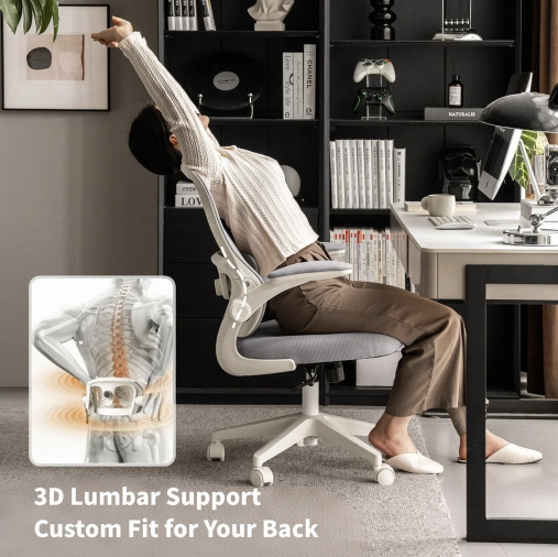 Astrea Ergonomic Office Chair