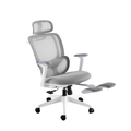Pro Ergonomic Office Chair With Footrest