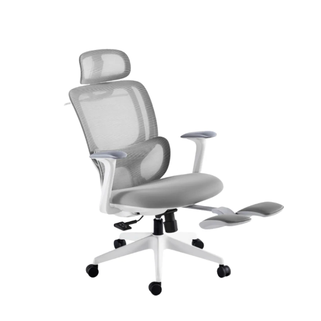 Pro Ergonomic Office Chair With Footrest