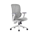 Pro Ergonomic Office Chair