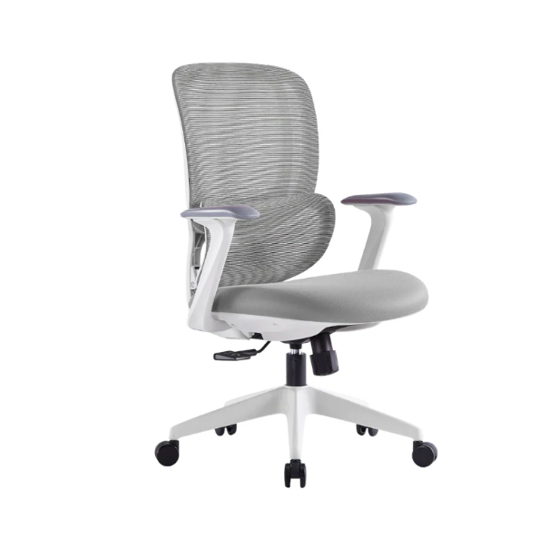 Pro Ergonomic Office Chair